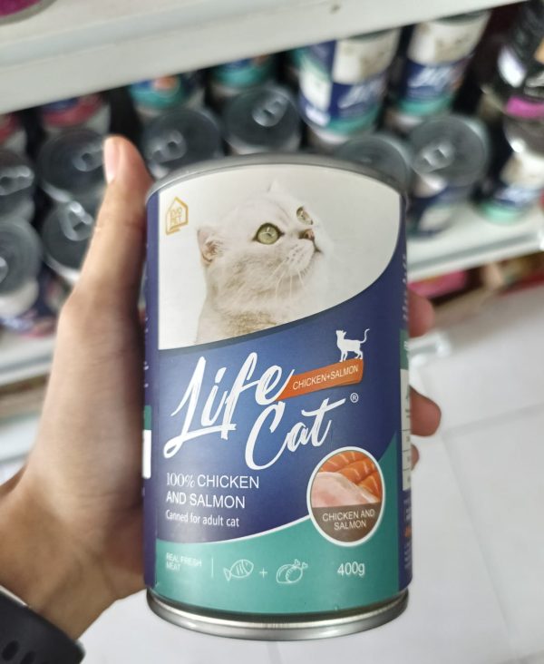 Life Cat