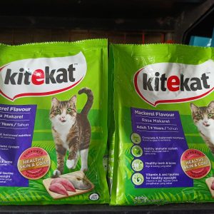 KiteKat